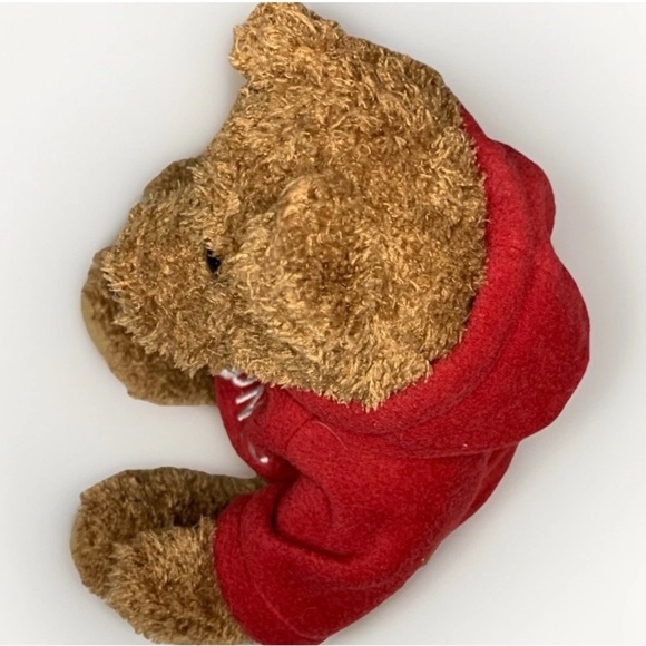 Toronto Canada Teddy Bear Red Hoodie 10" Plush Stuffed Animal House ‘Brambles’ - Picture 10 of 11